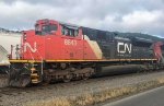 CN 8843